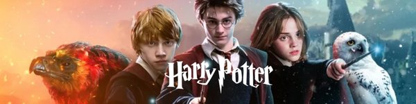Harry Potter Adventskalender von Warner Bros. Interactive kaufen